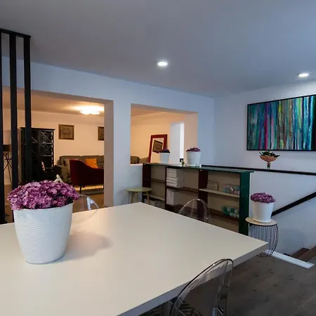 Villa Leisure And Business Crib Cluj-Napoca
